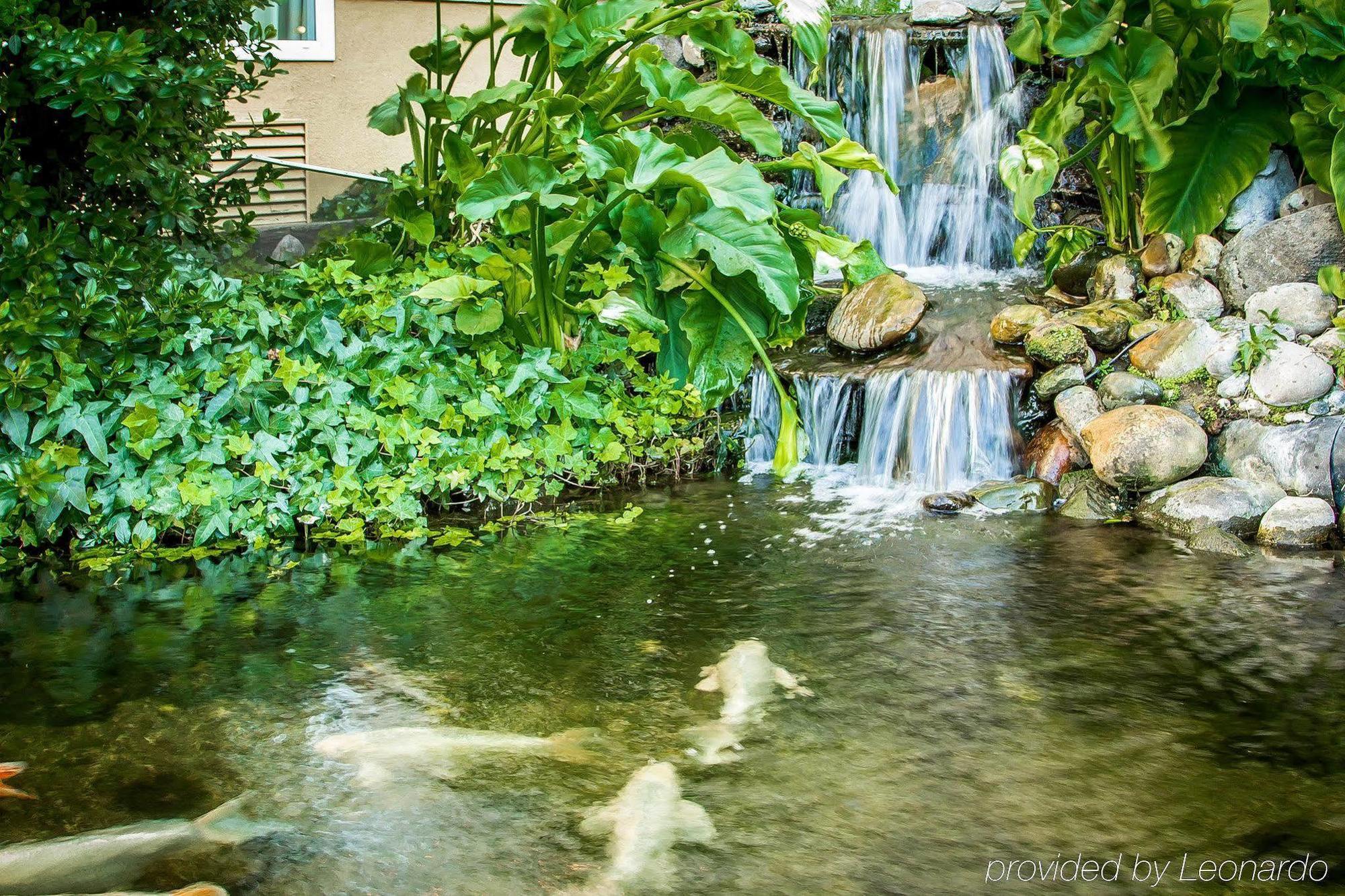 Comfort Inn Modesto Exteriör bild